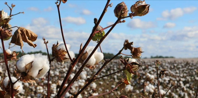 Inditext invests 15mil